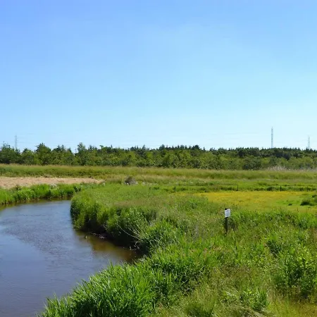 Hendricke - 22km From The Sea In Western Jutland By Interhome * Bredebro